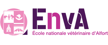 Ecole vétérinaire de Maison Alfort par concours B ENV
